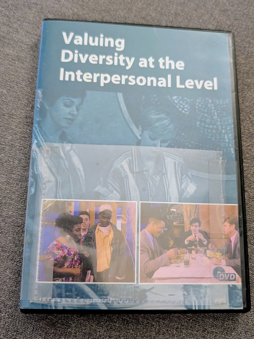Valuing Diversity at the Interpersonal Level DVD